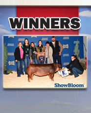 Winners