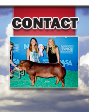 Contact