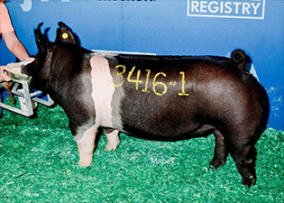 JJ Genetics Winners
