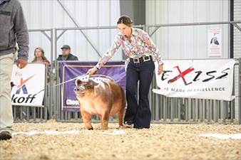 JJ Genetics Winners