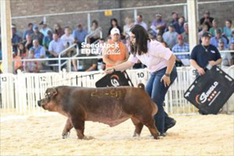 JJ Genetics Winners