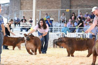 JJ Genetics Winners