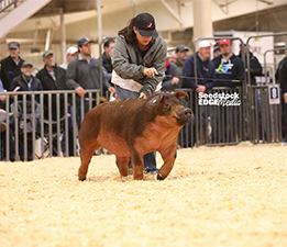 JJ Genetics Winners